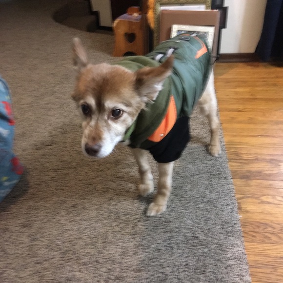 Meet your Posher, Paula - Picture 1 of 1